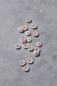 Preview: Knopf DISH COROZO BUTTON 15mm powder pink